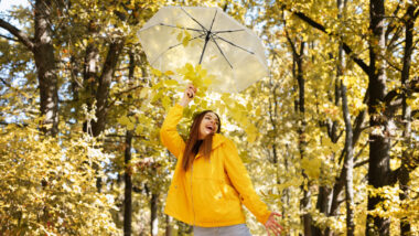 Prévisions météo pour la Toussaint Soleil et fraîcheur au programme