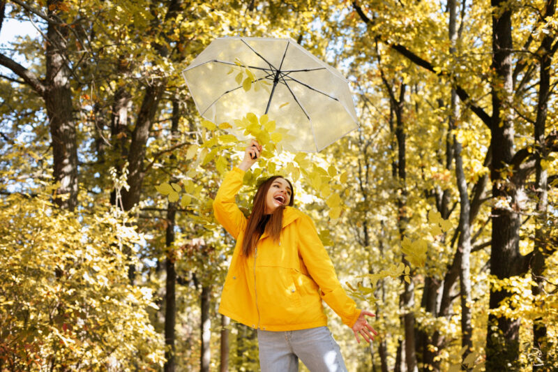 Prévisions météo pour la Toussaint Soleil et fraîcheur au programme