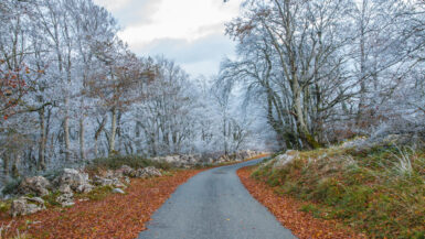 Températures en baisse l'automne s'installe en France la semaine prochaine !