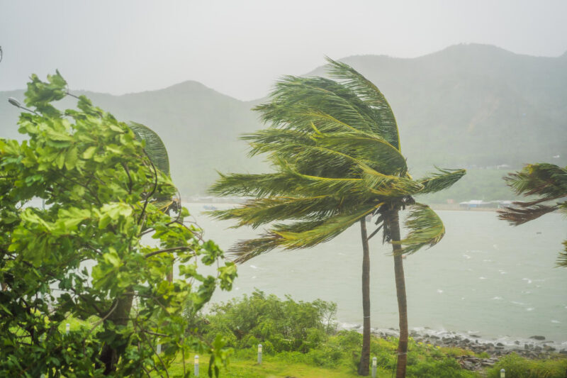 Tempête en Méditerranée vigilance accrue face aux vents violents