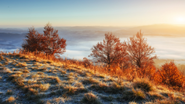 Transition vers l'hiver Comment se préparer aux premiers signes cette saison