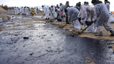 Catastrophe écologique Les conséquences dévastatrices de la marée noire en Russie !