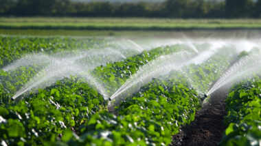 Consommation d'eau en 2050 Comment éviter la crise hydrique