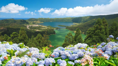 Découverte Quelle est cette île portugaise qui cachent les uniques plantations de thé en Europe