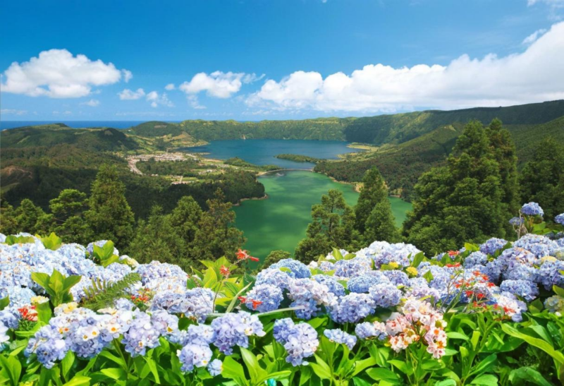 Découverte Quelle est cette île portugaise qui cachent les uniques plantations de thé en Europe