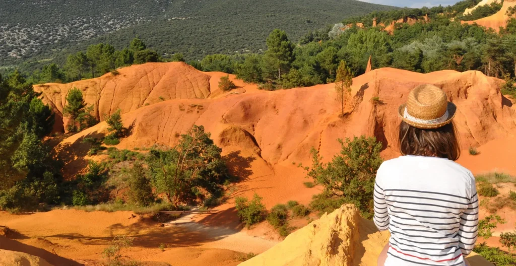 Vaucluse Découvrez ce village en pierre pour une escapade inoubliable 1