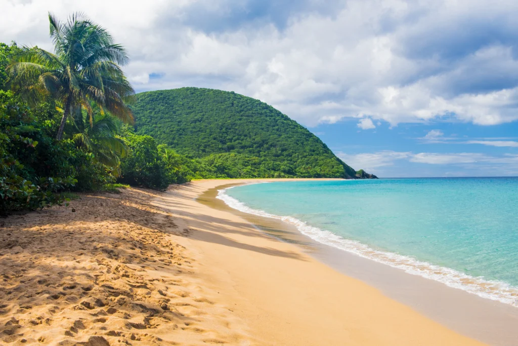 Découverte Ce village guadeloupéen vise le titre de préféré des Français 2