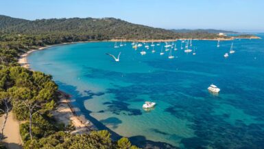 Évasion totale Nature, culture et gastronomie dans ce village en Provence-Alpes-Côte d'Azur