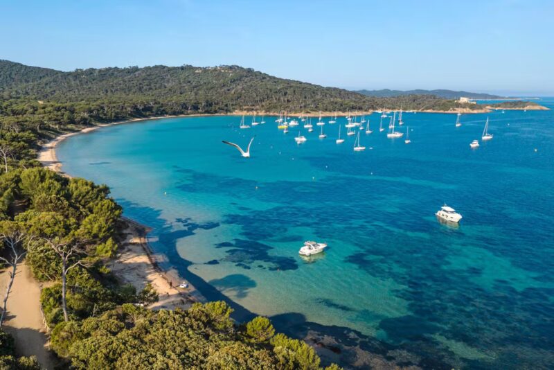 Évasion totale Nature, culture et gastronomie dans ce village en Provence-Alpes-Côte d'Azur