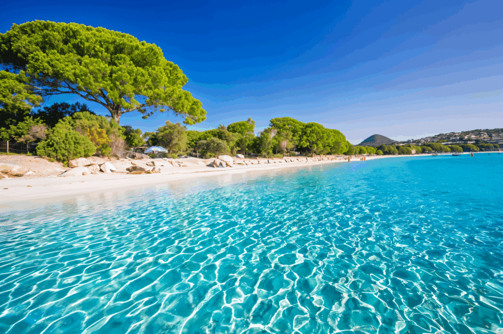 Cette plage paradisiaque en Corse a été élue parmi les meilleures d'Europe 2