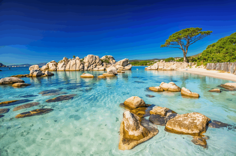 Cette plage paradisiaque en Corse a été élue parmi les meilleures d'Europe