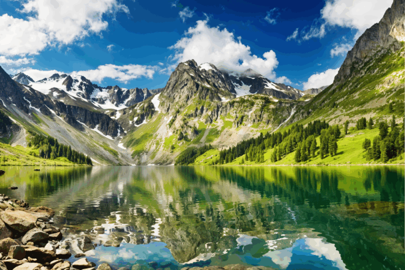 Paysages sauvages et biodiversité Plongez dans un parc Alpin majestueux cet été !