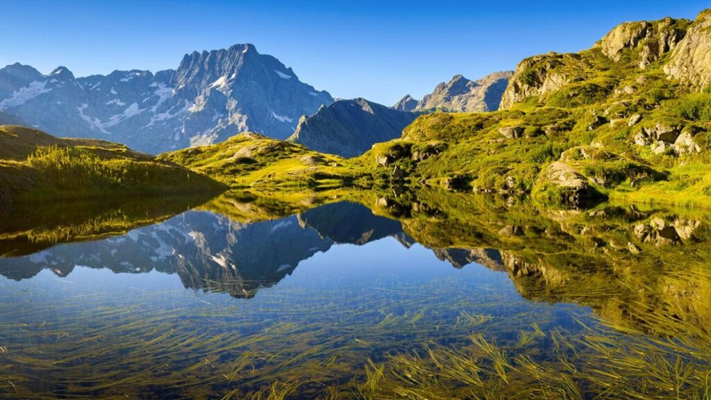 Paysages sauvages et biodiversité Plongez dans un parc Alpin majestueux cet été 01
