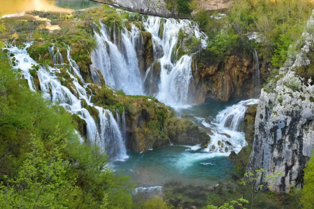 Paysages sauvages et biodiversité Plongez dans un parc Alpin majestueux cet été 2