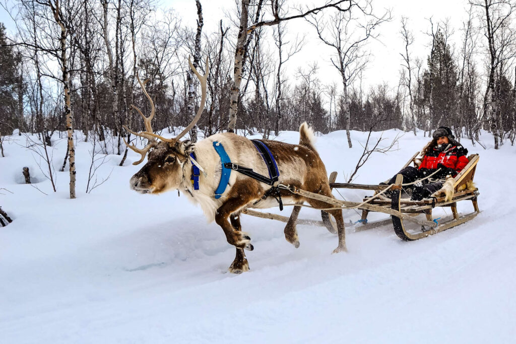 Un séjour inoubliable dans les contrées enneigées du Grand Nord 2