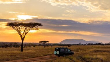 Deux villes, deux ambiances partez à la découverte de deux joyaux sud-africains