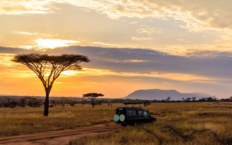 Deux villes, deux ambiances partez à la découverte de deux joyaux sud-africains