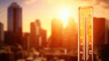 Vague de chaleur extrême 84 départements en alerte, un record historique en France !
