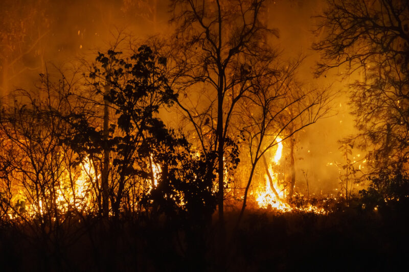 Feux de forêt trois départements placés en alerte rouge, la situation devient critique