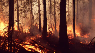 Pluie, feux de forêt plusieurs départements sous vigilance jaune et rouge ce lundi