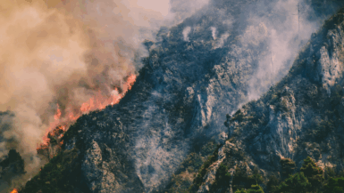 Vagues de chaleur, vents violents ces régions françaises sous haute tension face aux feux