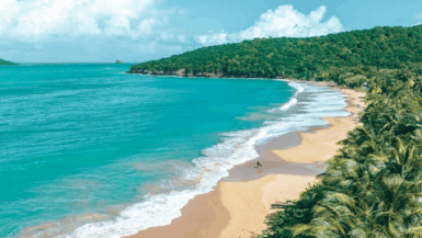 Guadeloupe cette plage secrète semble sortie d’une carte postale est à découvrir !