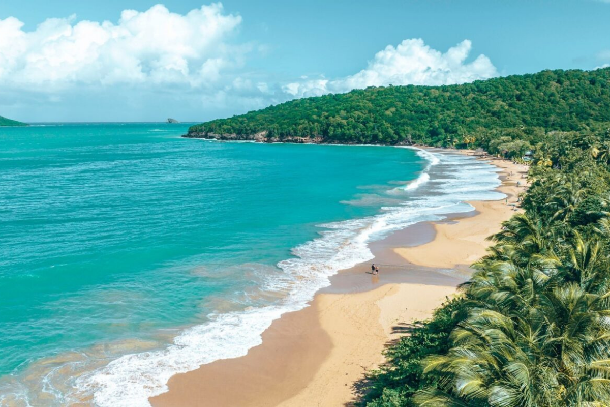 Guadeloupe cette plage secrète semble sortie d’une carte postale est à découvrir !