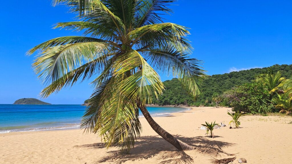 Guadeloupe cette plage secrète semble sortie d’une carte postale est à découvrir 1