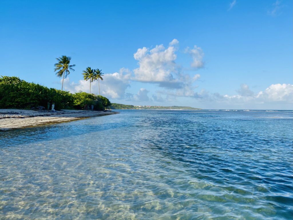 Paradis tropical sable blanc, cocotiers et lagon cristallin pour une escapade inoubliable aux Caraïbes 1