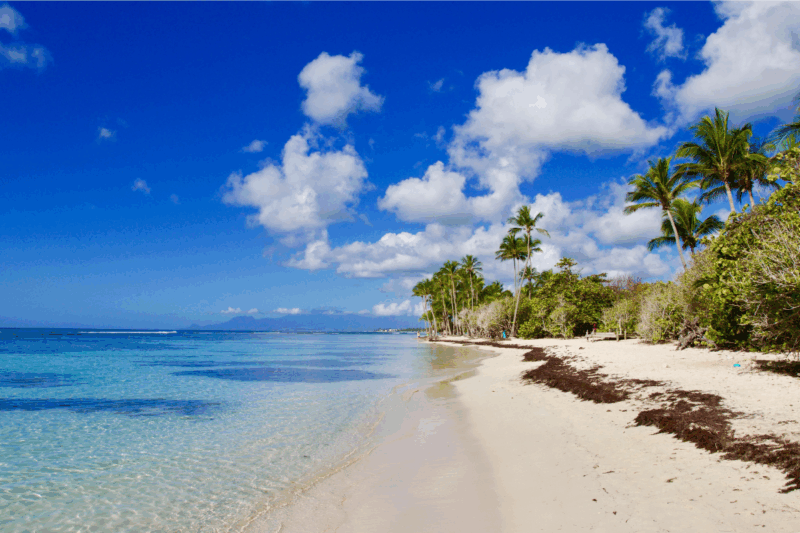 Paradis tropical sable blanc, cocotiers et lagon cristallin pour une escapade inoubliable aux Caraïbes