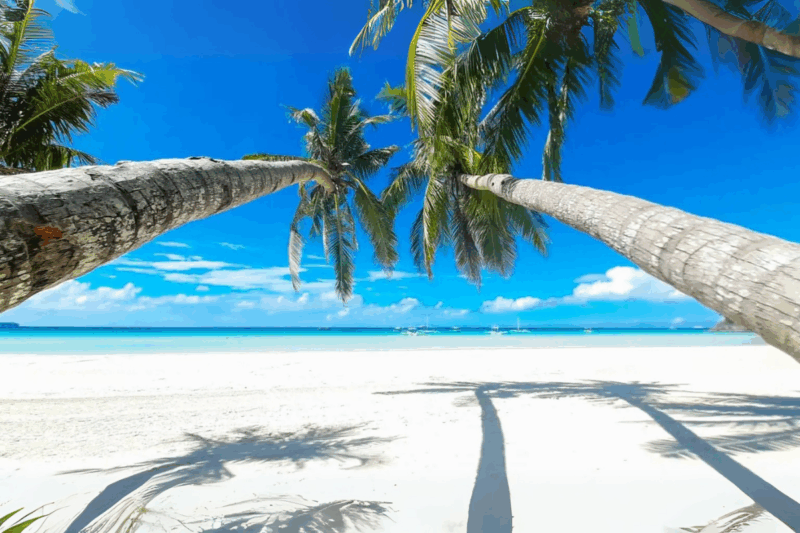 Une plage de 4 km de sable immaculé qui fait rêver les voyageurs du monde entier