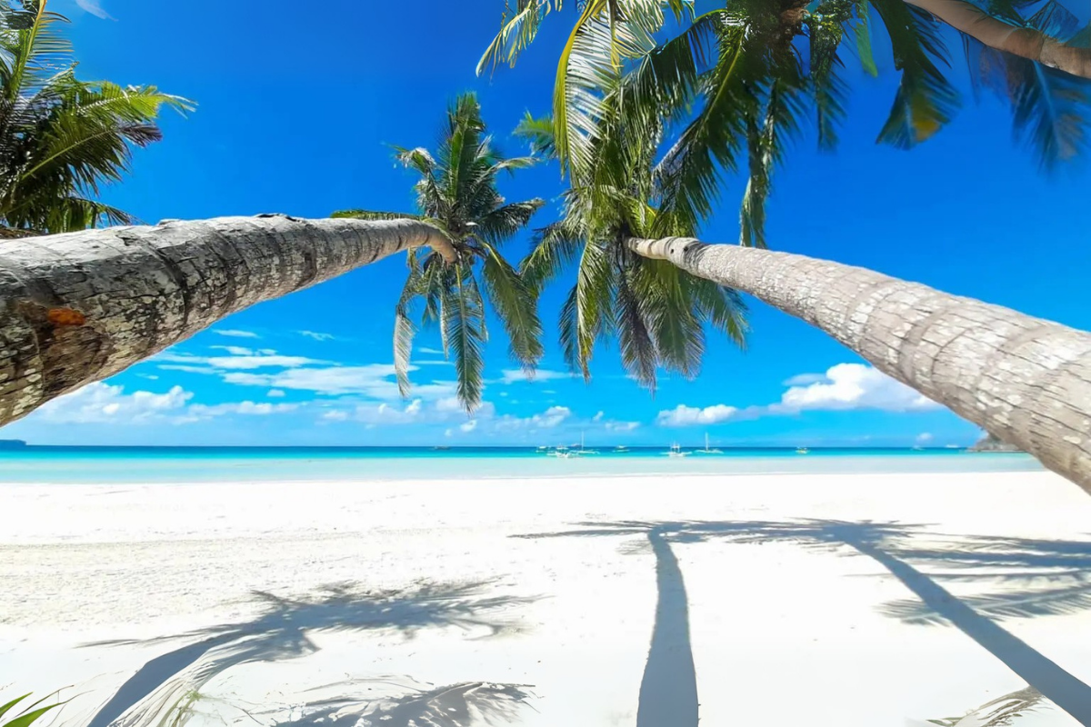 Une plage de 4 km de sable immaculé qui fait rêver les voyageurs du monde entier