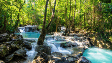 Aventure plongez dans la jungle près de Bangkok, un secret à découvrir !
