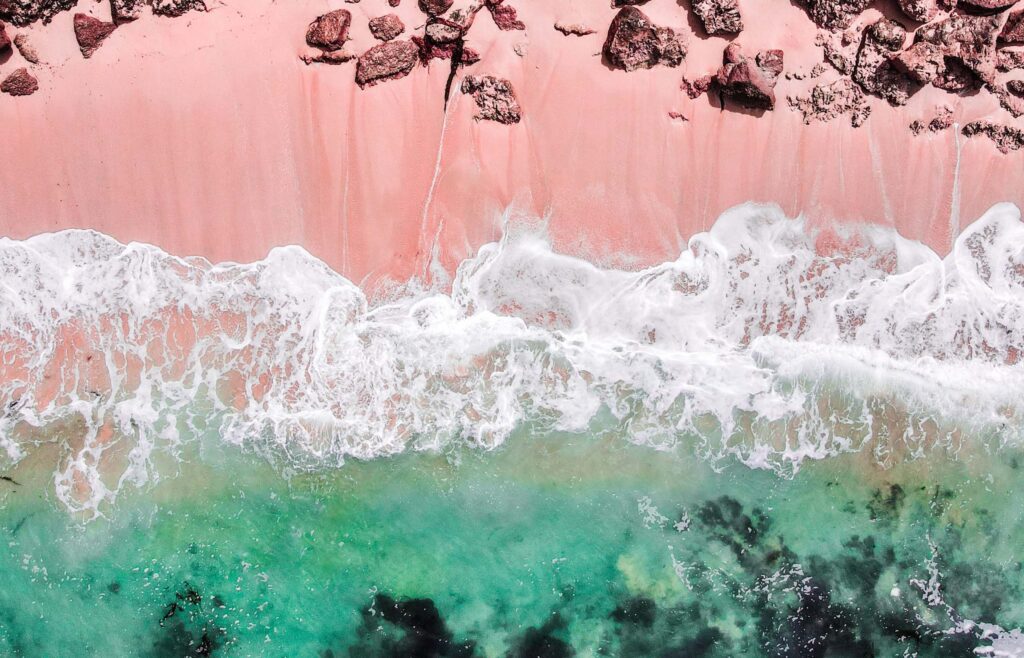 Sable rose, océan infini et faune marine une escapade inoubliable aux Bahamas 1