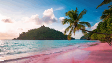 Sable rose, océan infini et faune marine une escapade inoubliable aux Bahamas