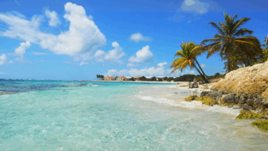 Voici pourquoi ce joyau de Grande-Terre séduit chaque voyageur qui le découvre !
